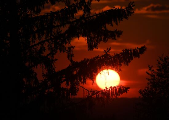 Поля Красноярского края