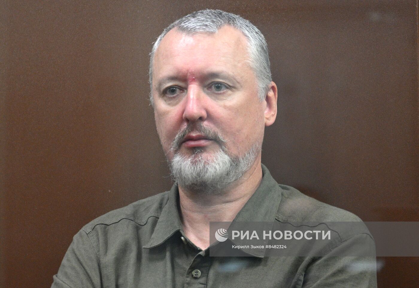Избрание меры пресечения И. Стрелкову
