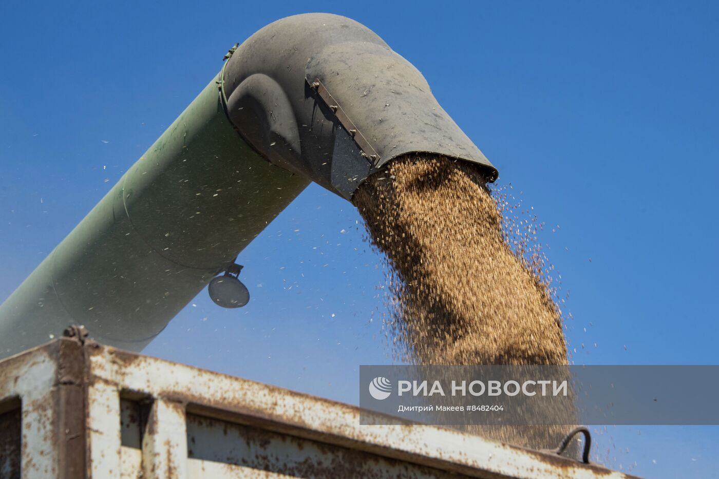 Уборка урожая зерновых в Херсонской области