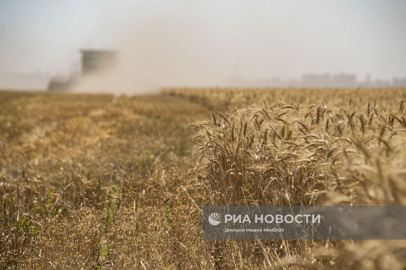 Уборка урожая зерновых в Херсонской области