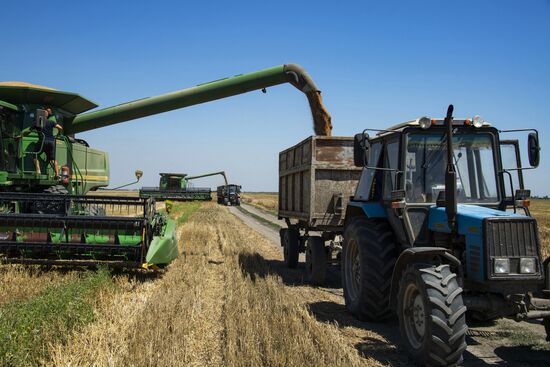 Уборка урожая зерновых в Херсонской области