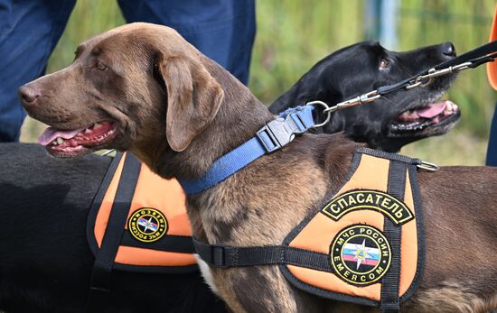 Учения добровольцев Национального центра помощи пропавшим детям в Казани
