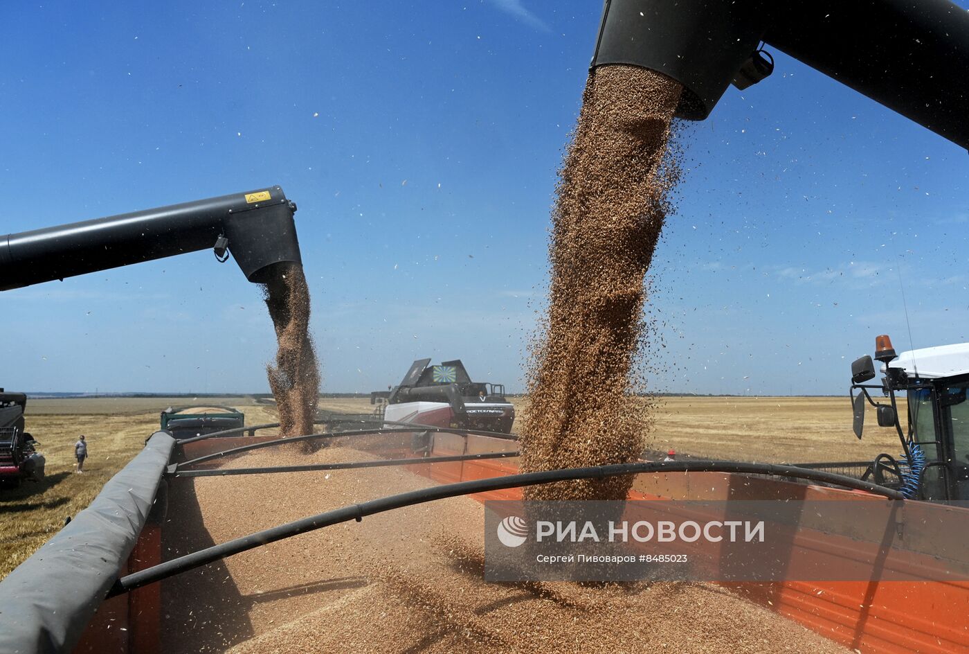 Уборка урожая пшеницы в Ростовской области