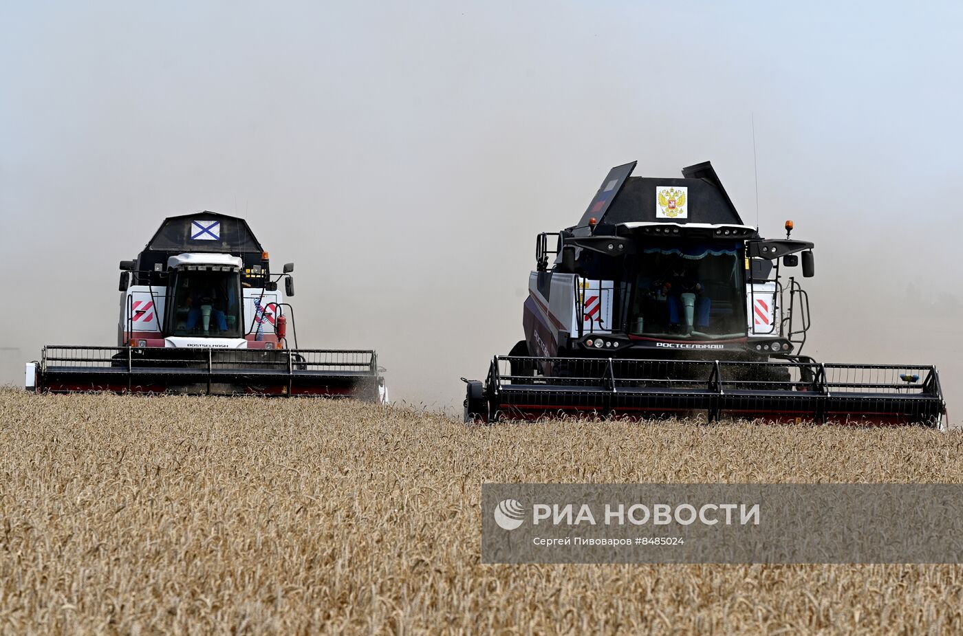 Уборка урожая пшеницы в Ростовской области