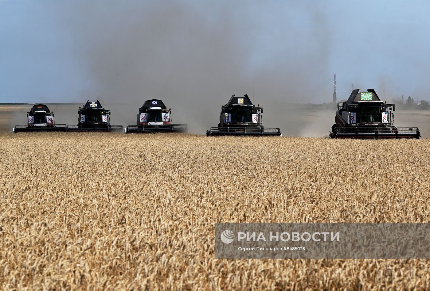 Уборка урожая пшеницы в Ростовской области