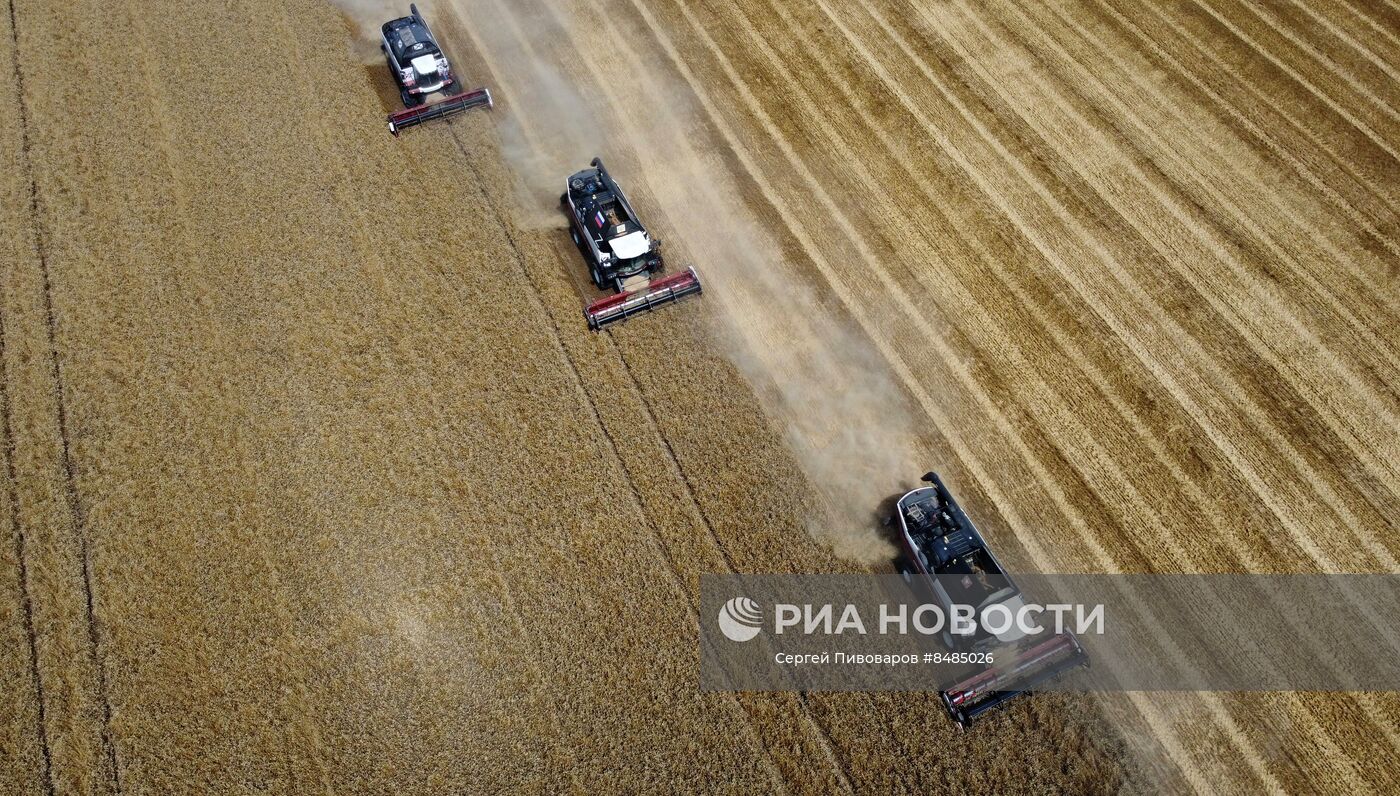 Уборка урожая пшеницы в Ростовской области