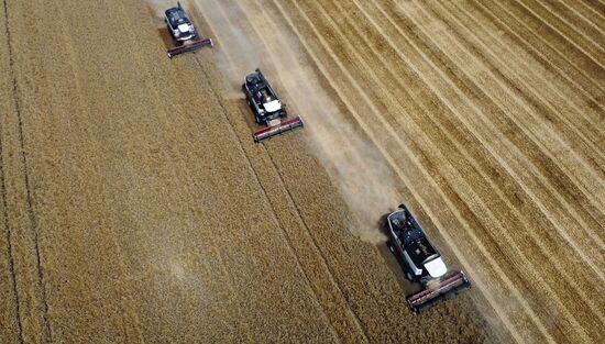Уборка урожая пшеницы в Ростовской области