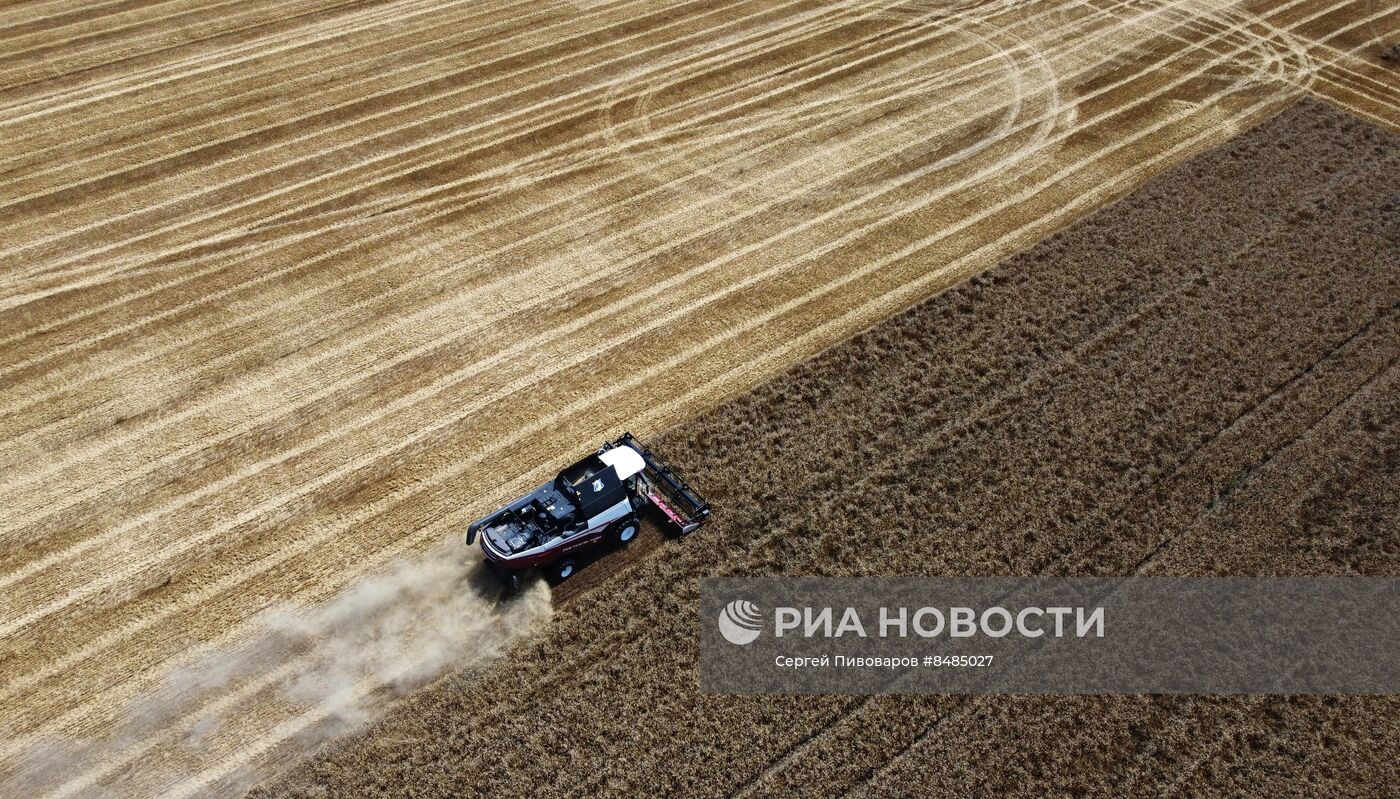 Уборка урожая пшеницы в Ростовской области