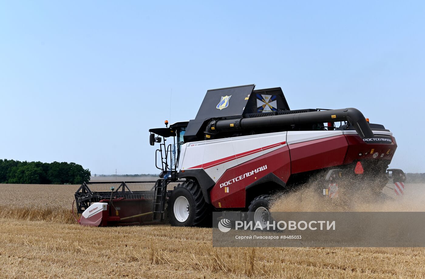 Уборка урожая пшеницы в Ростовской области