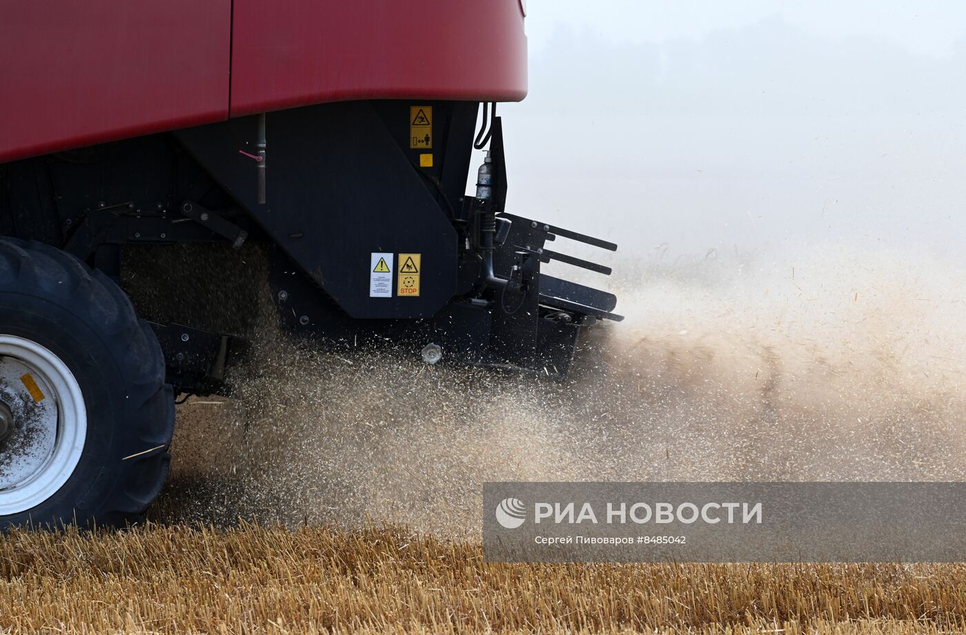 Уборка урожая пшеницы в Ростовской области