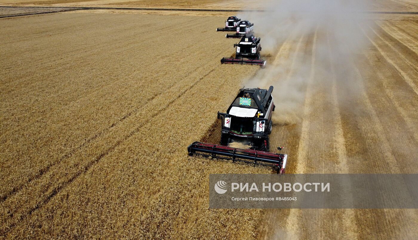 Уборка урожая пшеницы в Ростовской области