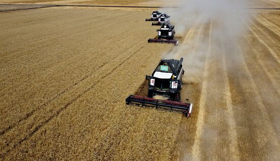 Уборка урожая пшеницы в Ростовской области