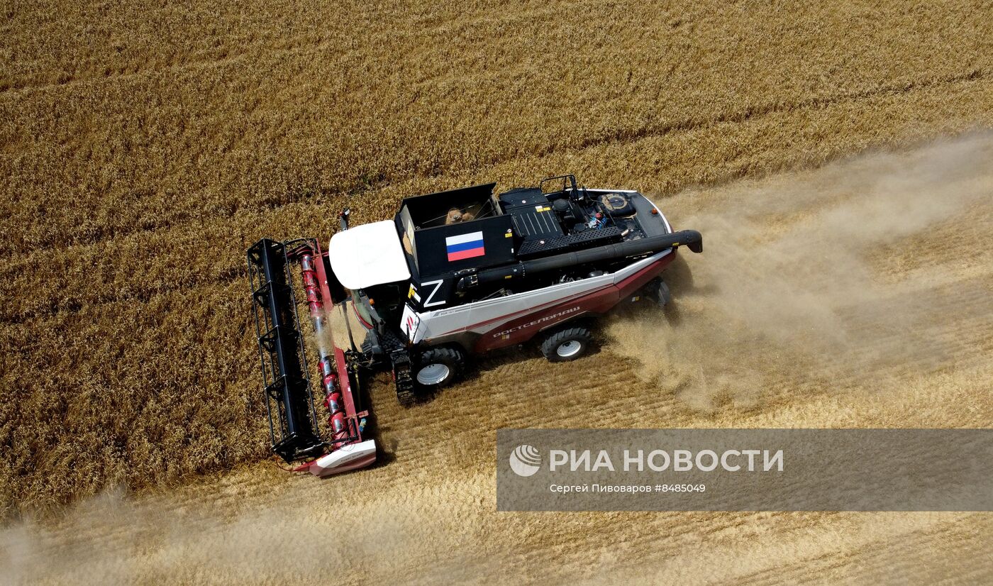 Уборка урожая пшеницы в Ростовской области