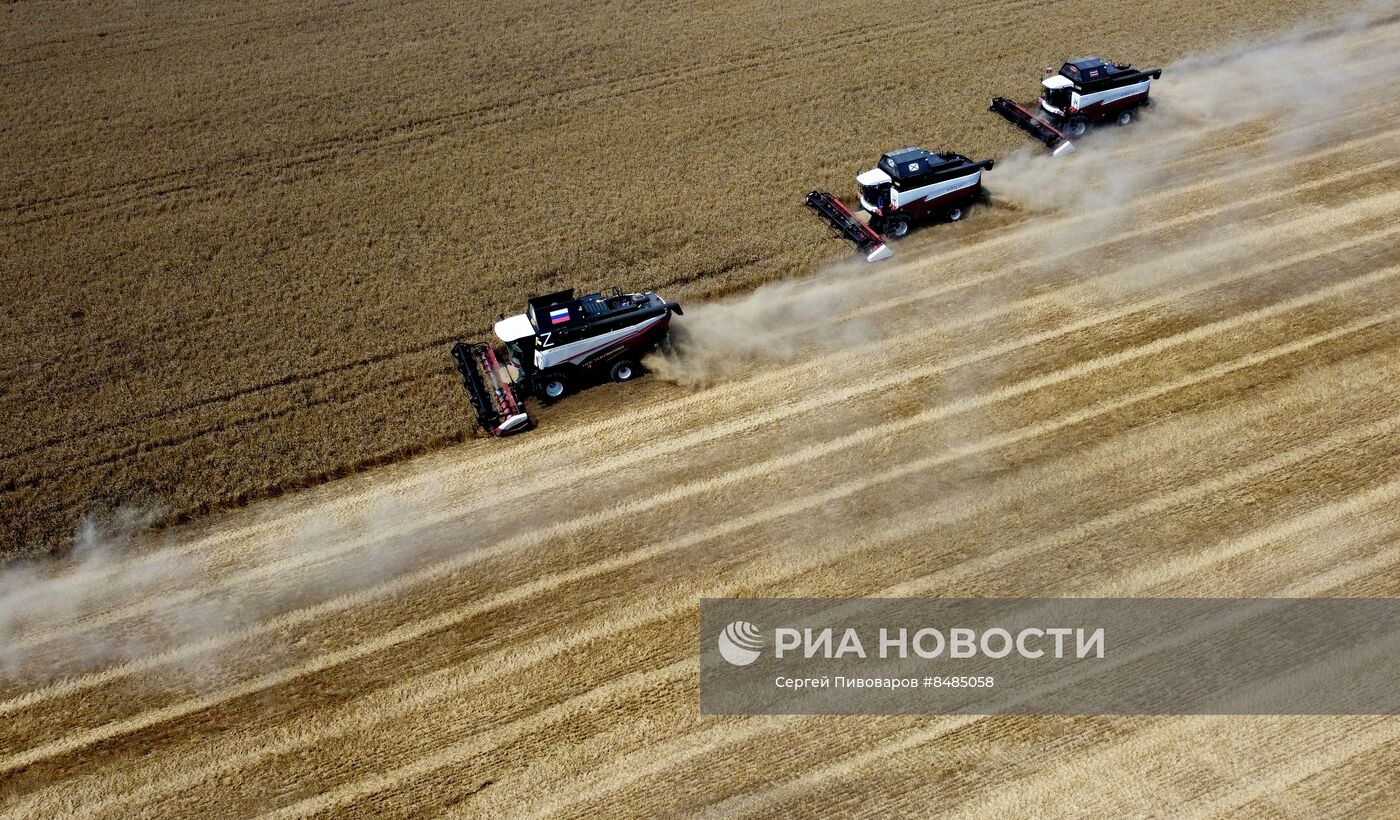 Уборка урожая пшеницы в Ростовской области