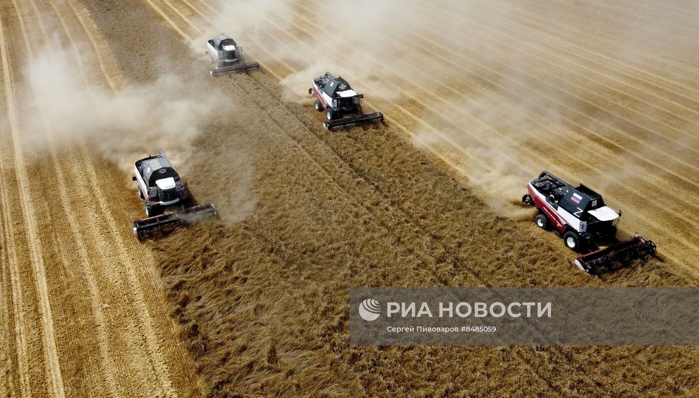 Уборка урожая пшеницы в Ростовской области