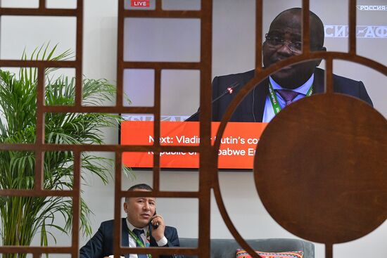 II Cаммит и форум "Россия - Африка". Работа форума