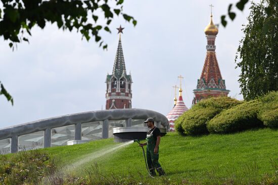 Жаркая погода в Центральной России 