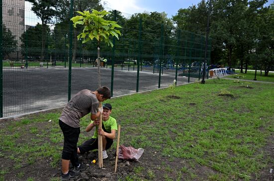 Благоустройство Луганска