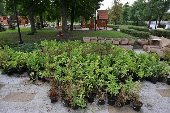 Благоустройство Луганска