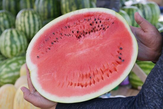 Старт продаж сезонных фруктов и овощей в Екатеринбурге