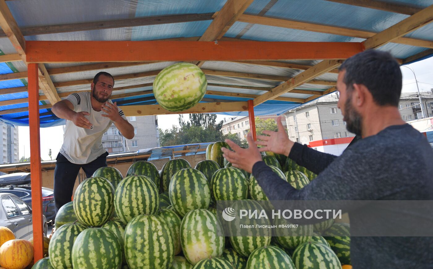 Старт продаж сезонных фруктов и овощей в Екатеринбурге