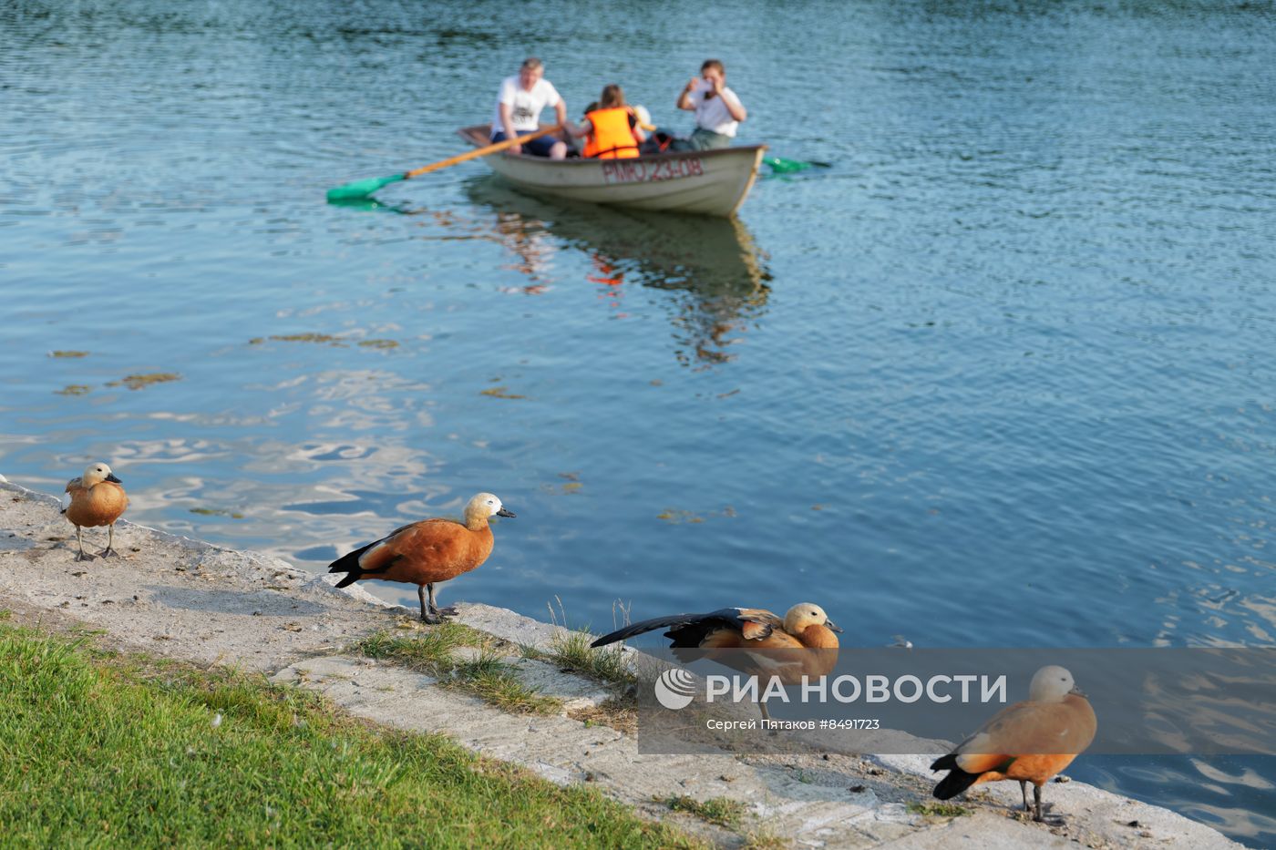 Жаркая погода в Москве