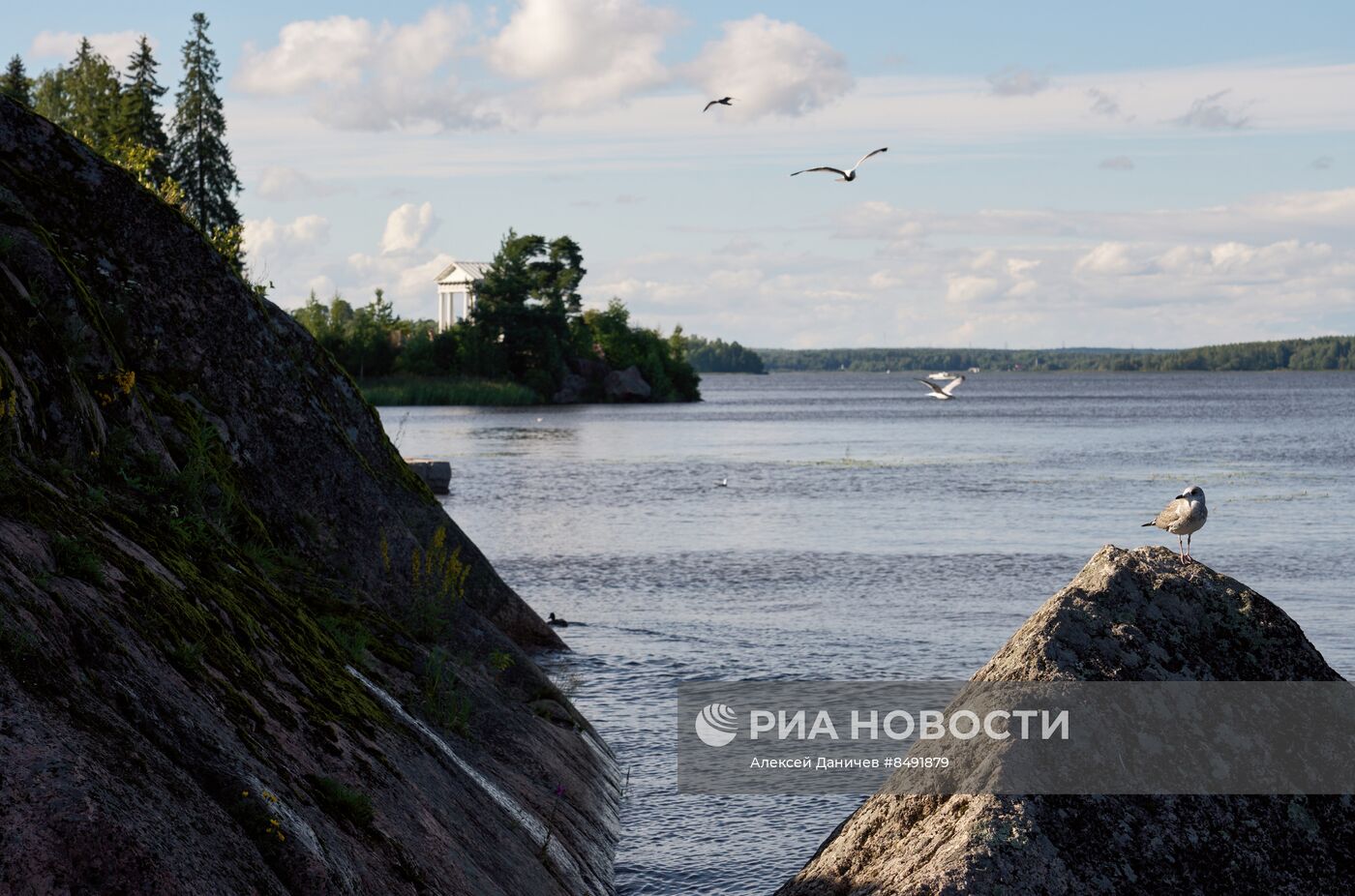 Музей-заповедник "Монрепо" в Выборге