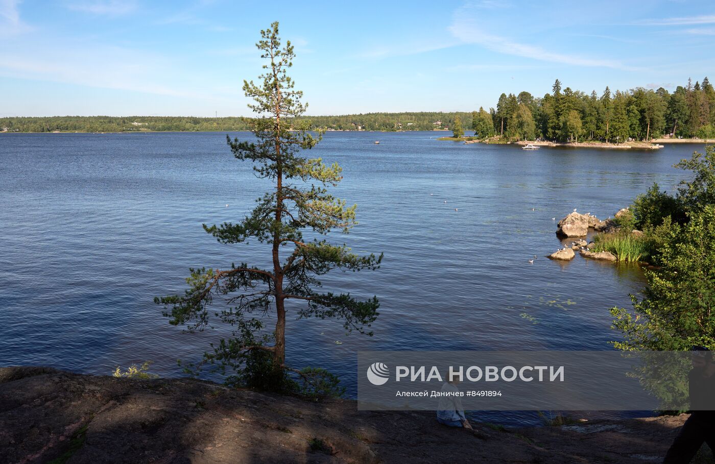 Музей-заповедник "Монрепо" в Выборге