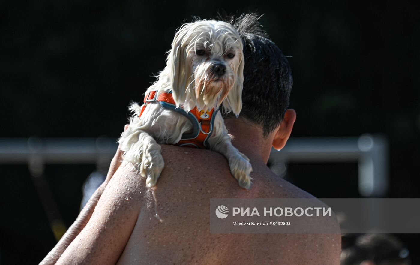 Жаркая погода в Москве