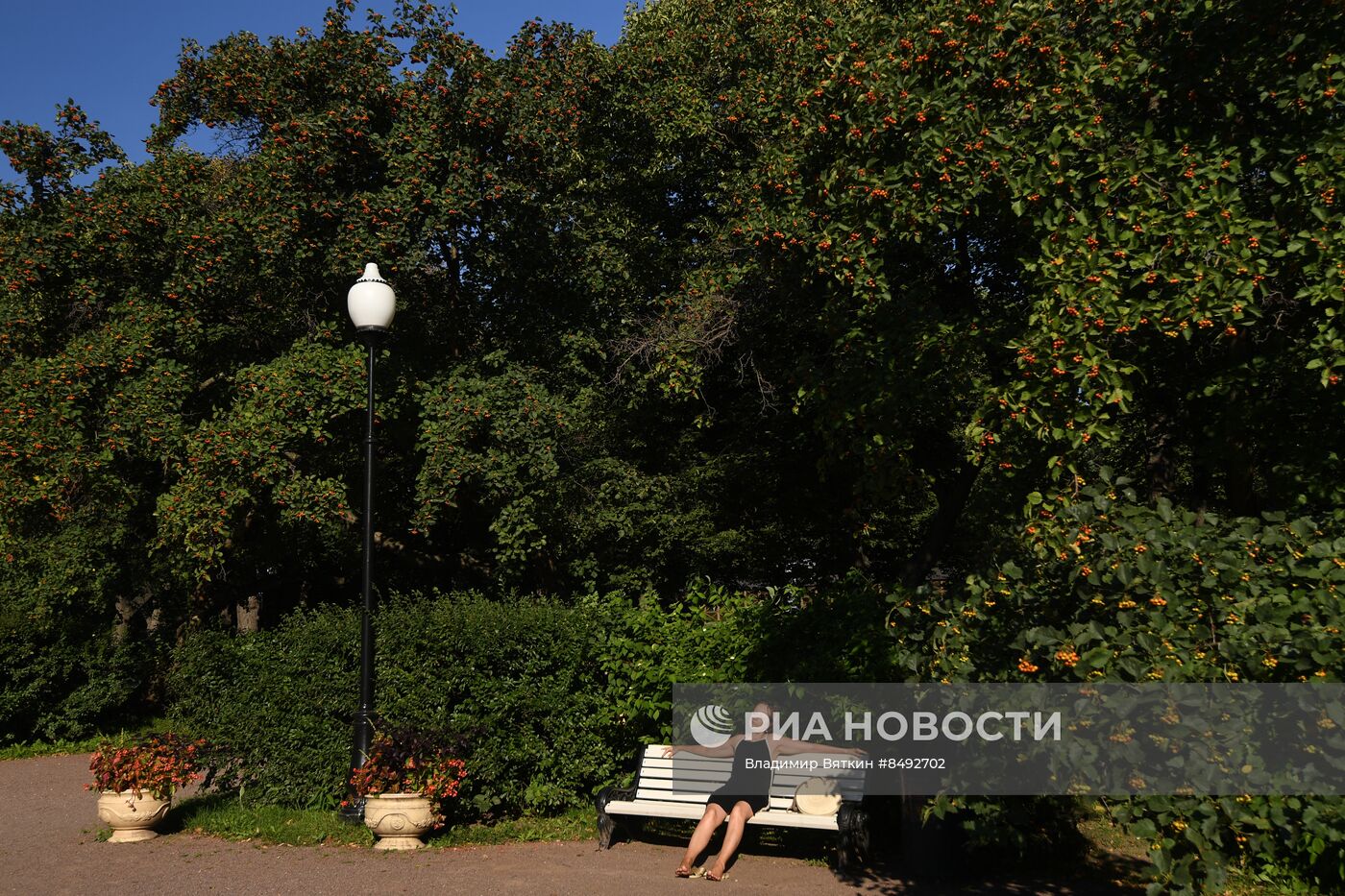 Жаркая погода в Москве