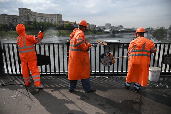 Промывка Бородинского моста