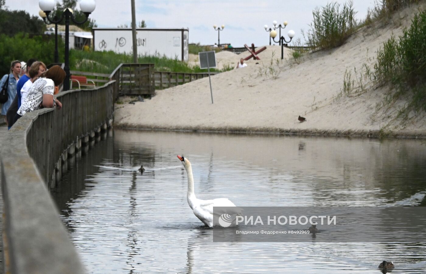 Пляжи в поселке Янтарный в Калининградской области