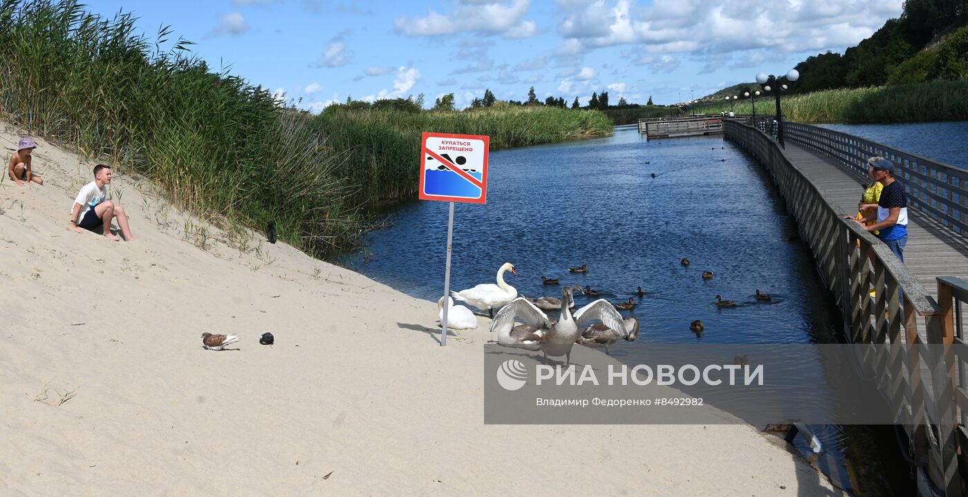 Пляжи в поселке Янтарный в Калининградской области