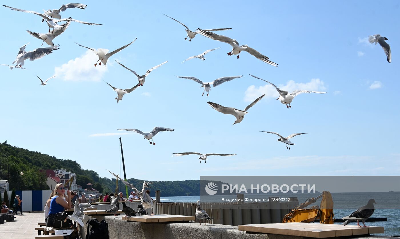 Города России. Светлогорск