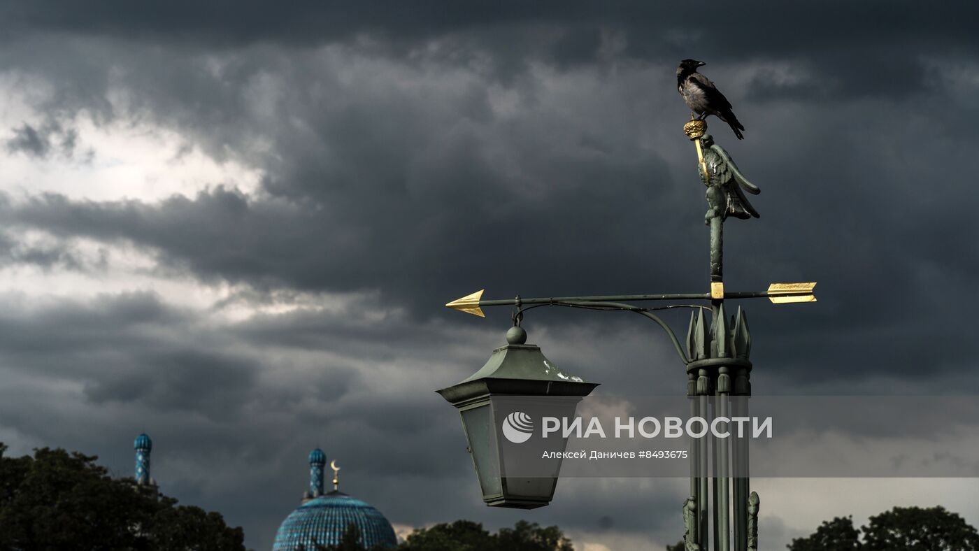 Лето в Санкт-Петербурге