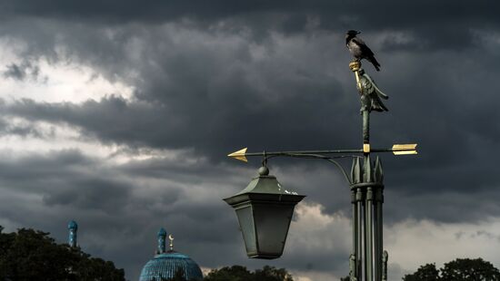 Лето в Санкт-Петербурге