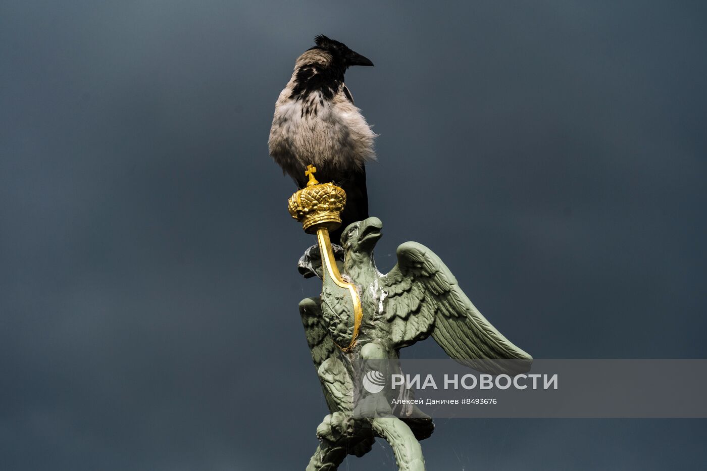 Лето в Санкт-Петербурге