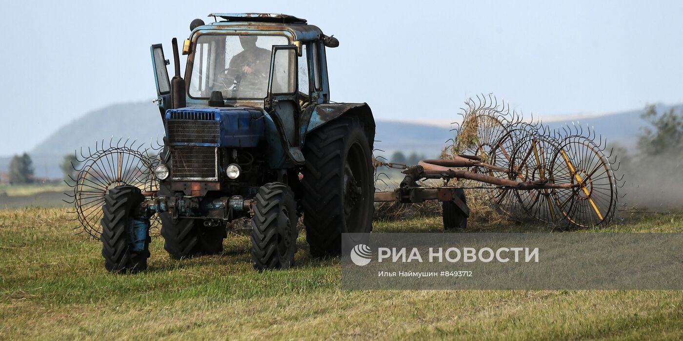 Заготовка кормов для животноводства