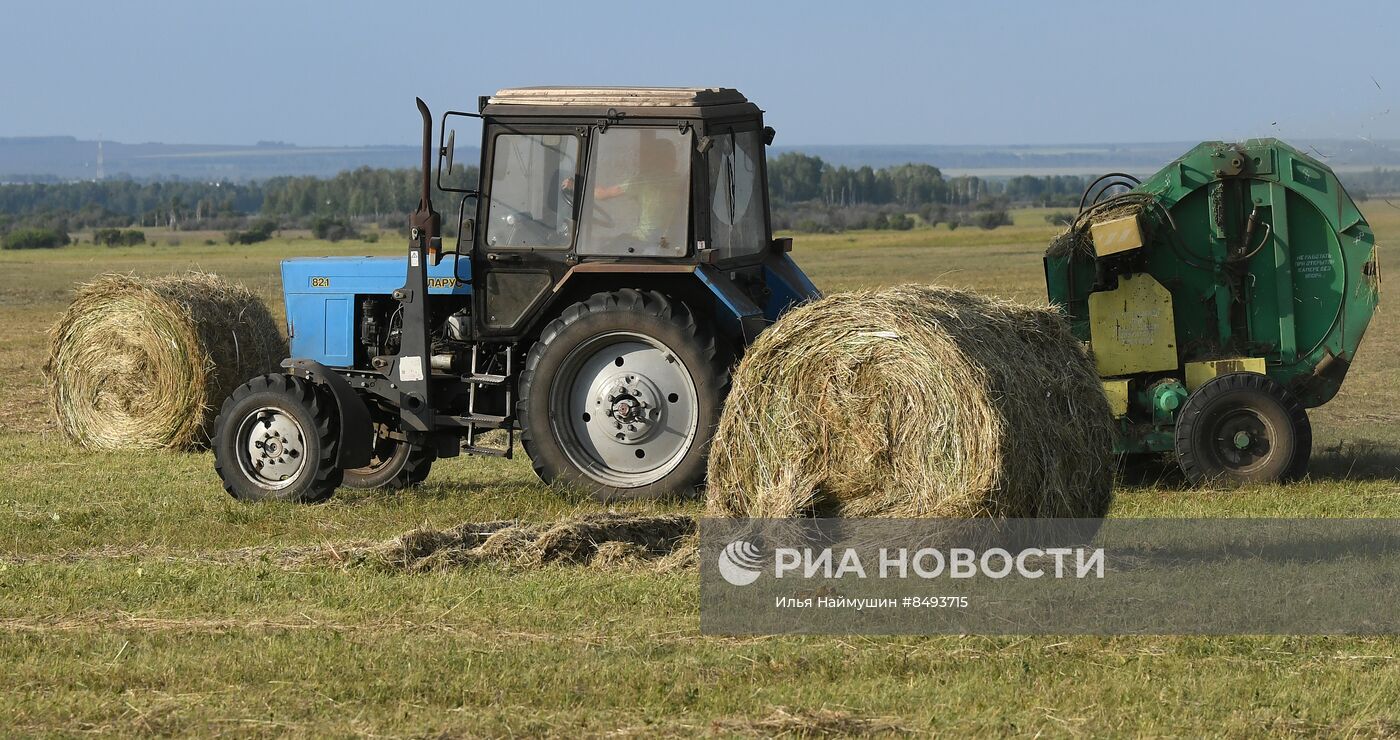 Заготовка кормов для животноводства