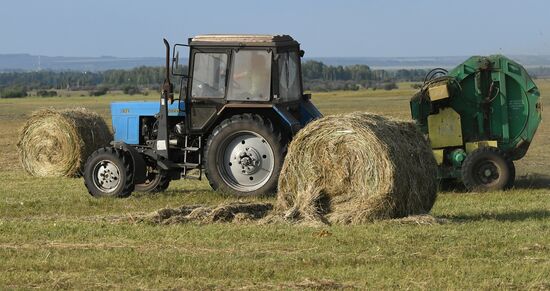 Заготовка кормов для животноводства