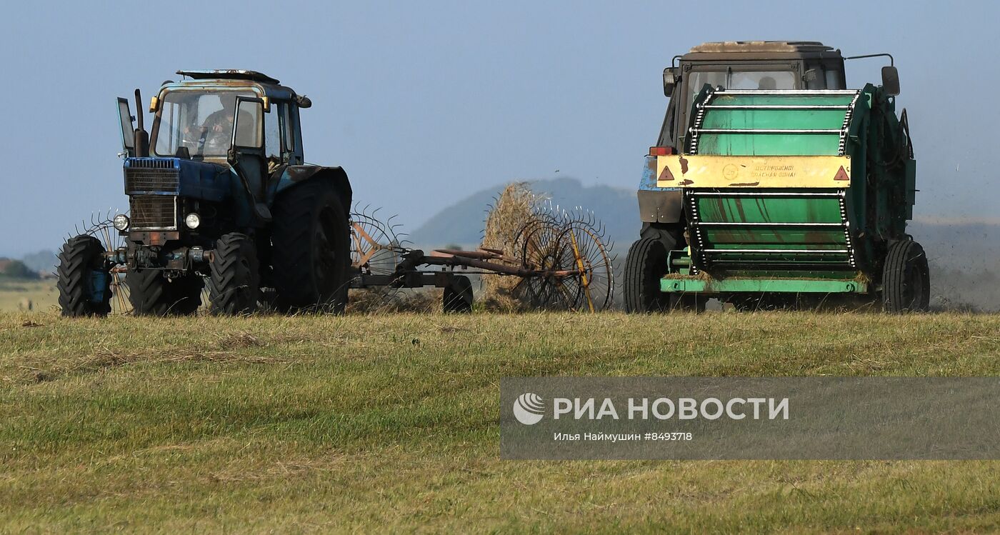 Заготовка кормов для животноводства