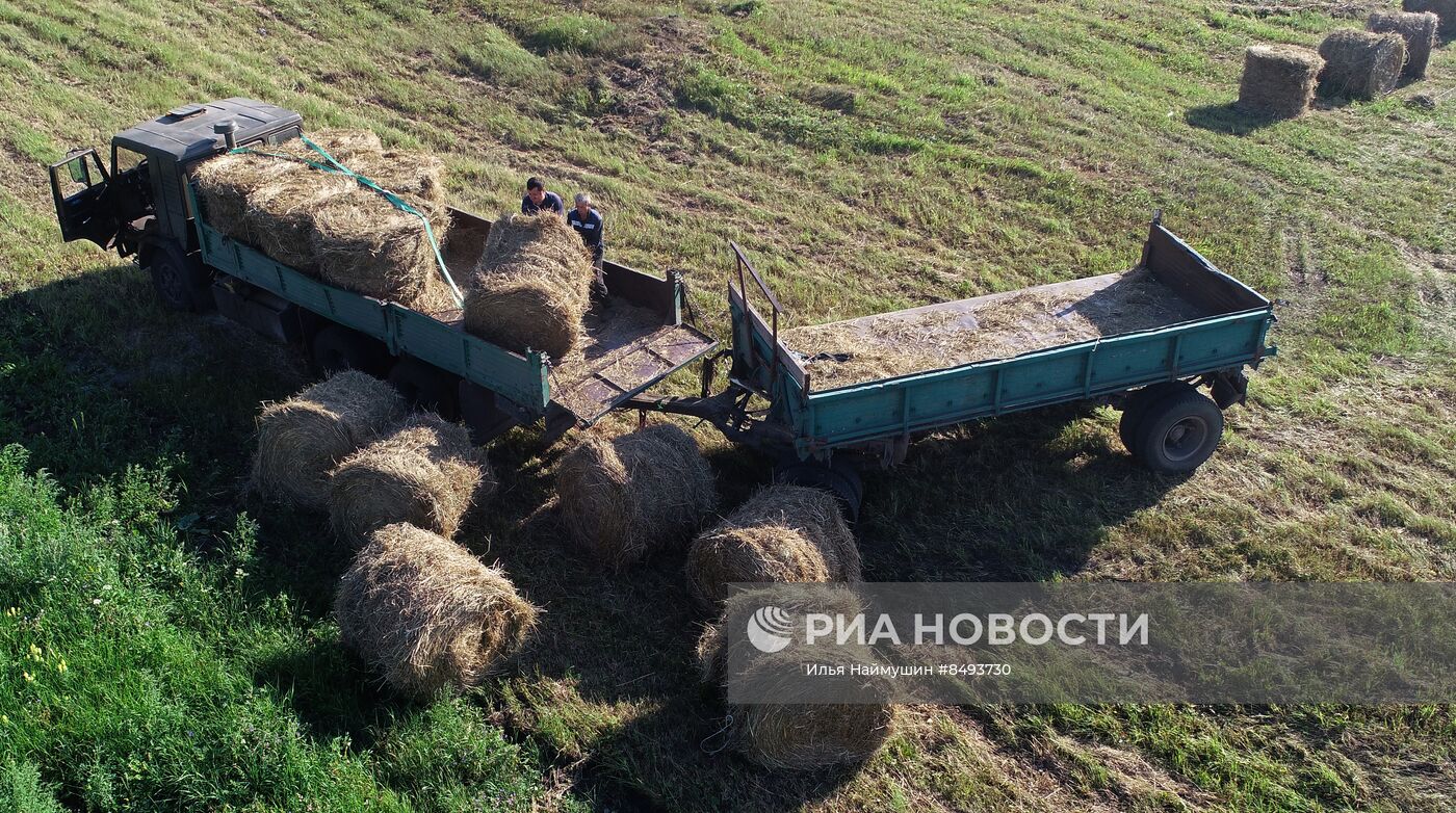 Заготовка кормов для животноводства