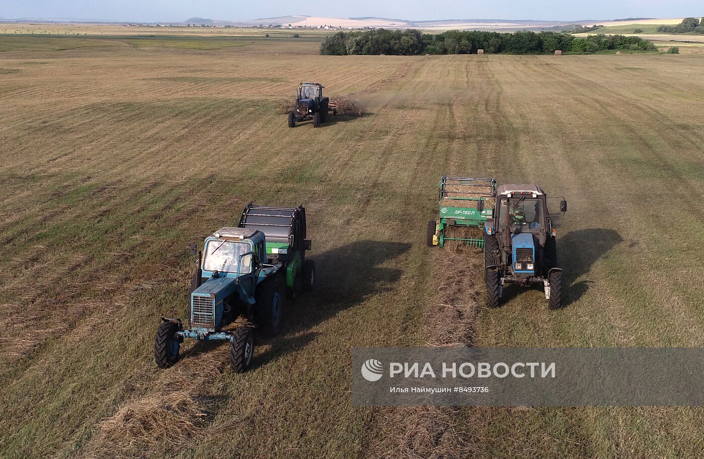 Заготовка кормов для животноводства