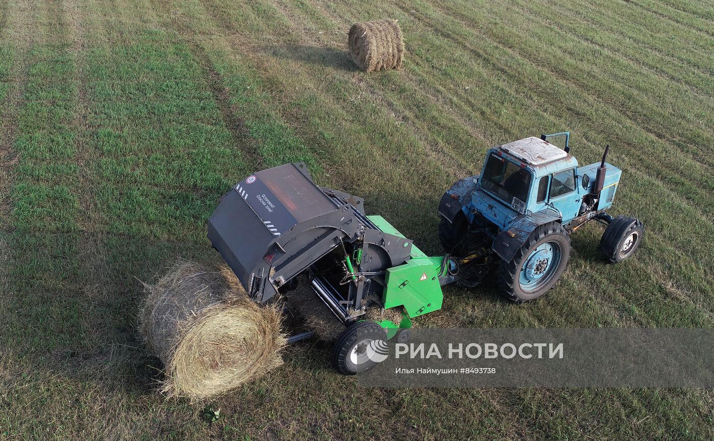 Заготовка кормов для животноводства