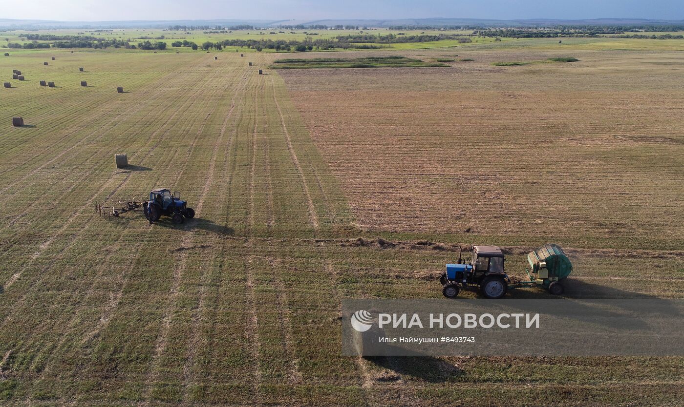 Заготовка кормов для животноводства