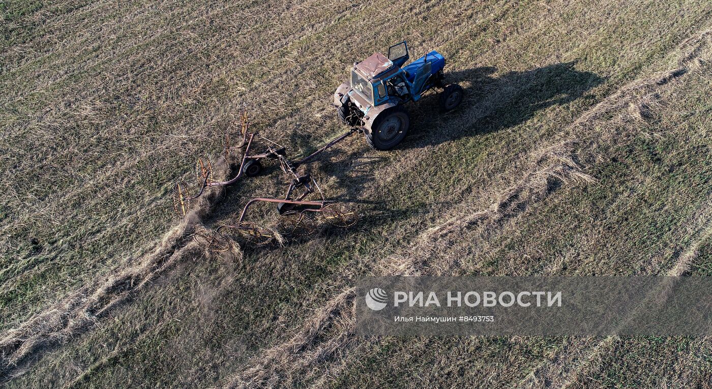 Заготовка кормов для животноводства