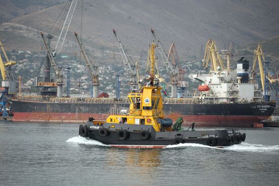 Работа грузового порта Новороссийска