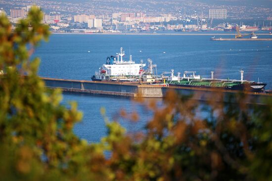 Работа грузового порта Новороссийска