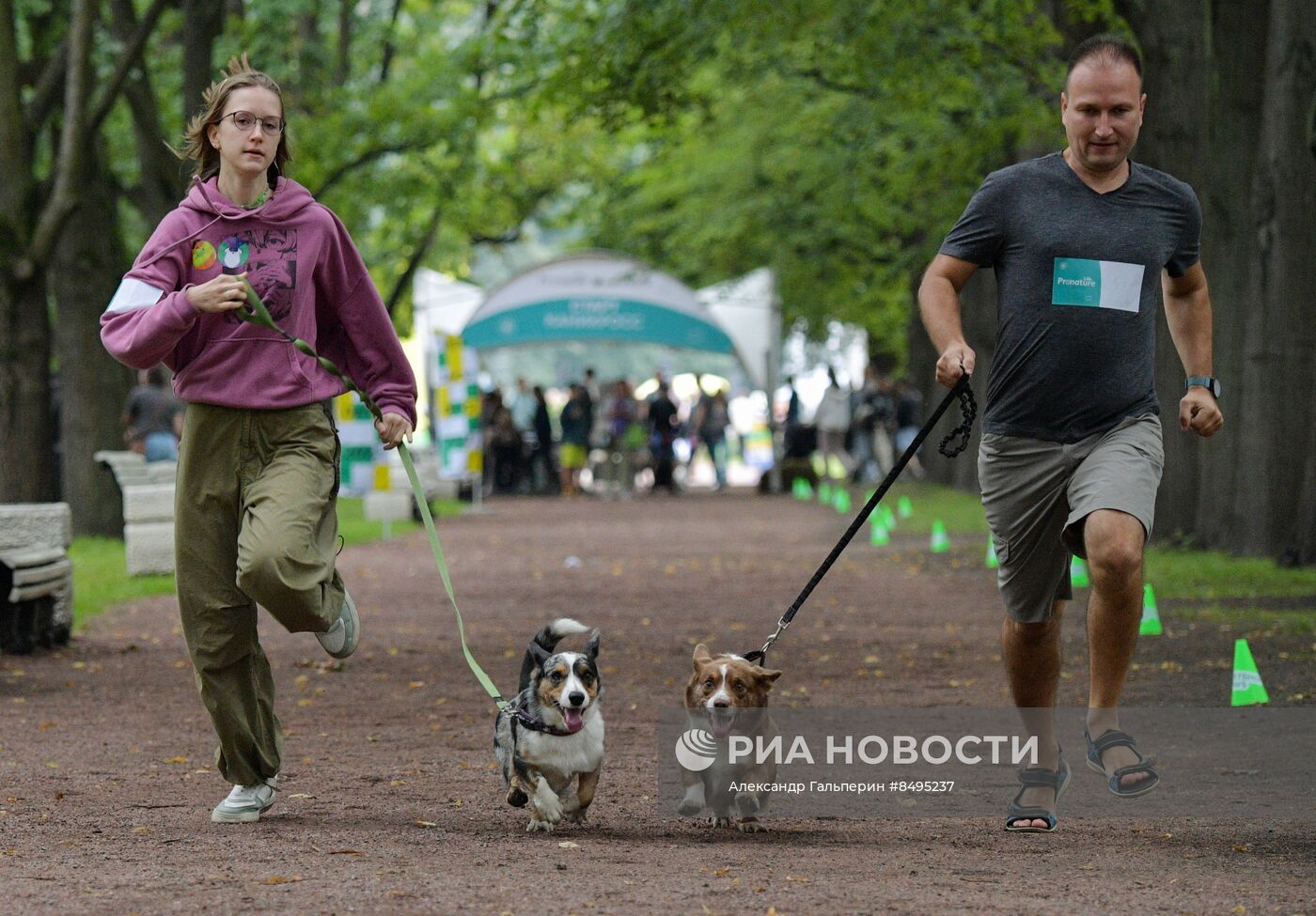 Фестиваль домашних любимцев Petshop Days в Петербурге