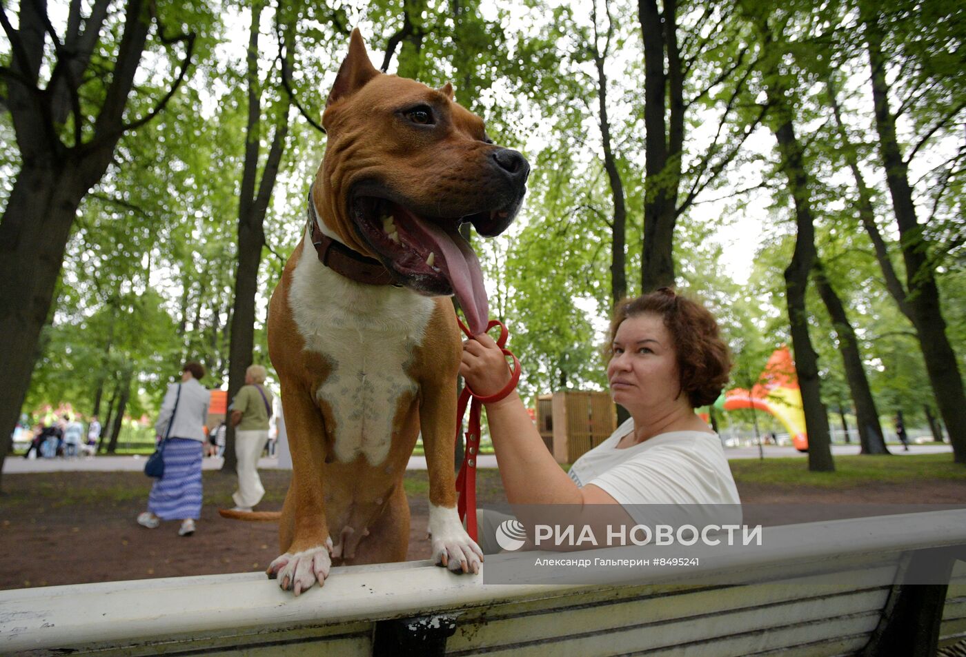 Фестиваль домашних любимцев Petshop Days в Петербурге